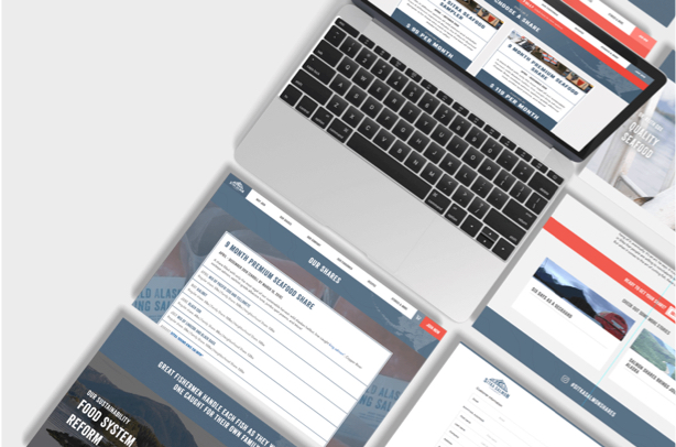 Our Digital Services & Solutions | Silverback Strategies