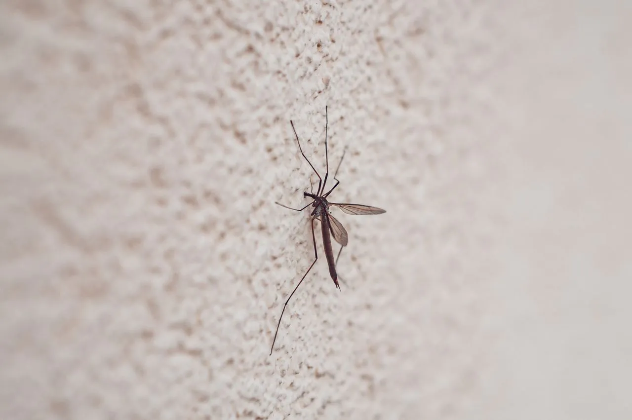 Best SEO Agencies for Pest Control in 2026 (Ranked and Reviewed)