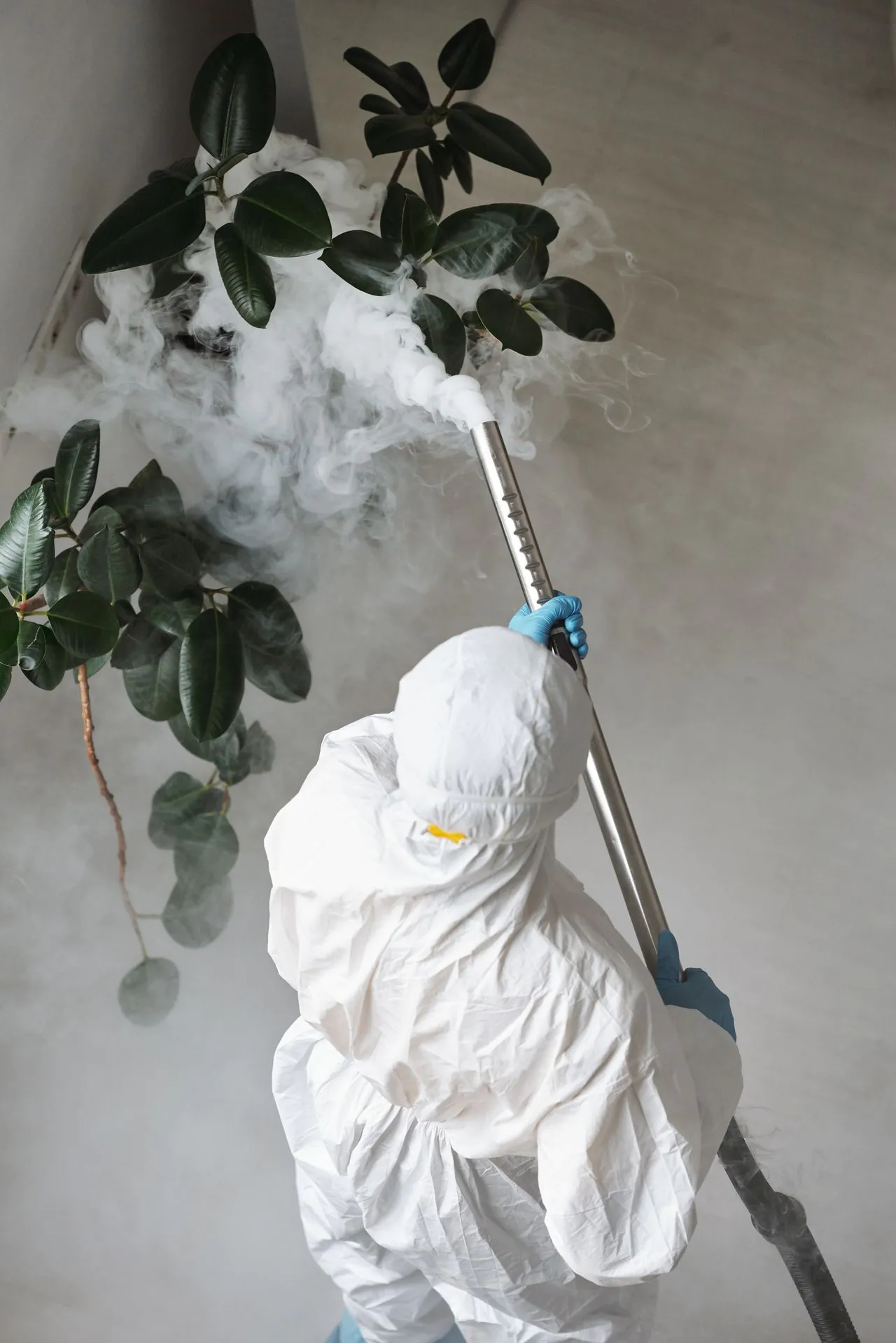 Best Digital Marketing Agencies for Pest Control in 2026 (Ranked and Reviewed)