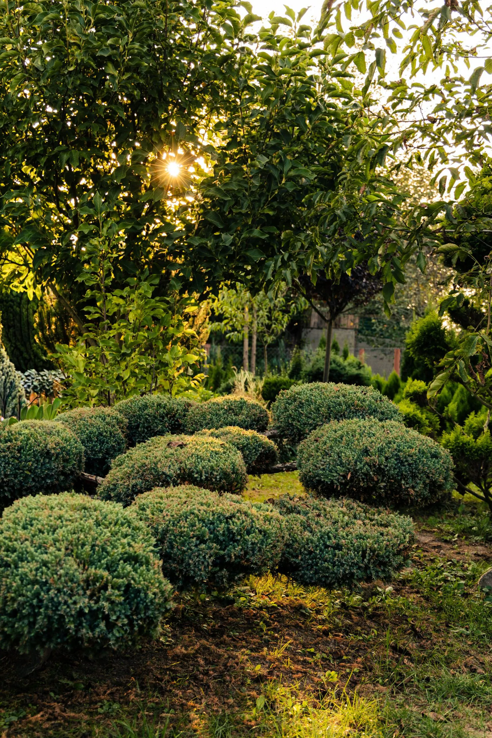 Best PPC Agencies for Landscaping in 2026 (Ranked and Reviewed)
